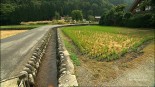 Japon, zen Image 4