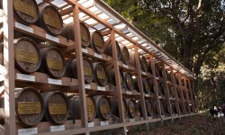 Tonneaux de vin du Meiji-jingu