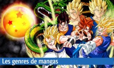 Les genres de mangas : Shonen, Shojo, Seinen et bien plus ... Image 1