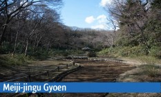 Meiji-jingu Gyoen Image 1