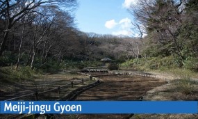 Meiji-jingu Gyoen : le jardin impérial de Tokyo