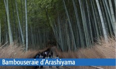 La bambouseraie d'Arashiyama Image 1