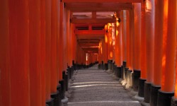 Fushimi Inari-taisha : la majesté des milliers de torii rouges à Kyoto