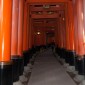 Fushimi Inari-taisha : la majesté des milliers de torii ... Image 12
