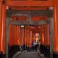 Fushimi Inari-taisha : la majesté des milliers de torii ... Image 13