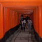 Fushimi Inari-taisha : la majesté des milliers de torii ... Image 14