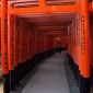 Fushimi Inari-taisha : la majesté des milliers de torii ... Image 15