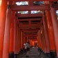 Fushimi Inari-taisha : la majesté des milliers de torii ... Image 16