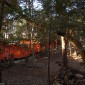 Fushimi Inari-taisha : la majesté des milliers de torii ... Image 18