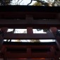 Fushimi Inari-taisha : la majesté des milliers de torii ... Image 19