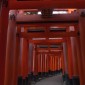Fushimi Inari-taisha : la majesté des milliers de torii ... Image 20