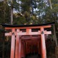 Fushimi Inari-taisha : la majesté des milliers de torii ... Image 21