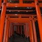 Fushimi Inari-taisha : la majesté des milliers de torii ... Image 22