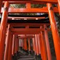 Fushimi Inari-taisha : la majesté des milliers de torii ... Image 23
