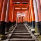 Fushimi Inari-taisha : la majesté des milliers de torii ... Image 24