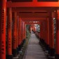 Fushimi Inari-taisha : la majesté des milliers de torii ... Image 30