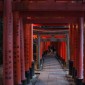 Fushimi Inari-taisha : la majesté des milliers de torii ... Image 35