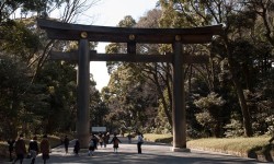 Le sanctuaire shintoïste Meiji-jingu à Tokyo