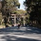 Le sanctuaire shintoïste Meiji-jingu à Tokyo Image 3