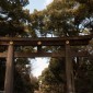 Le sanctuaire shintoïste Meiji-jingu à Tokyo Image 4