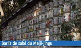 Barils de saké du Meiji-jingu