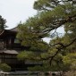 Ginkaku-ji : la beauté intemporelle du Pavillon d’Argent Image 12