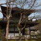Ginkaku-ji : la beauté intemporelle du Pavillon d’Argent Image 14