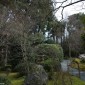 Ryoan-ji : le Temple Zen et son Jardin de Pierres à Kyoto Image 15