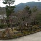 Tenryu-ji : Temple Zen au Cœur d'Arashiyama Image 5
