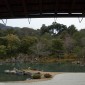 Tenryu-ji : Temple Zen au Cœur d'Arashiyama Image 6