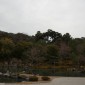 Tenryu-ji : Temple Zen au Cœur d'Arashiyama Image 7