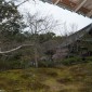 Tenryu-ji : Temple Zen au Cœur d'Arashiyama Image 11