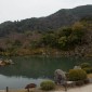 Tenryu-ji : Temple Zen au Cœur d'Arashiyama Image 14