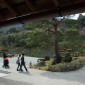 Tenryu-ji : Temple Zen au Cœur d'Arashiyama Image 1