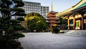 Tocho-ji : le temple de Fukuoka qui cache un secret sculpté dans le bois