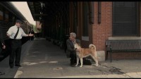 HACHI Yakusoku no Inu Image 4