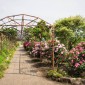 Kuju Flower Park : une escapade florale au cœur d’un parc ... Image 3
