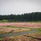 Kuju Flower Park : une escapade florale au cœur d’un parc ... Image 6
