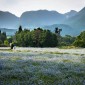 Kuju Flower Park : une escapade florale au cœur d’un parc ... Image 10