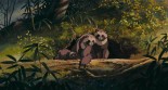 Pompoko Image 8