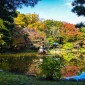 Hibiya Park : Une escapade verdoyante au cœur de Tokyo Image 3