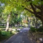 Hibiya Park : Une escapade verdoyante au cœur de Tokyo Image 5