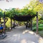 Hibiya Park : Une escapade verdoyante au cœur de Tokyo Image 7