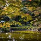 Hibiya Park : Une escapade verdoyante au cœur de Tokyo Image 9