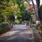 Hibiya Park : Une escapade verdoyante au cœur de Tokyo Image 10