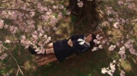 Sakura no Sono Image 2