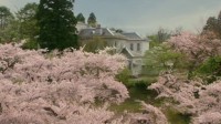 Sakura no Sono Image 4