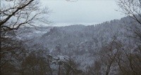 Yamazakura Image 1
