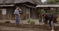Yamazakura Image 3