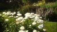 Kaze no Garden Image 5